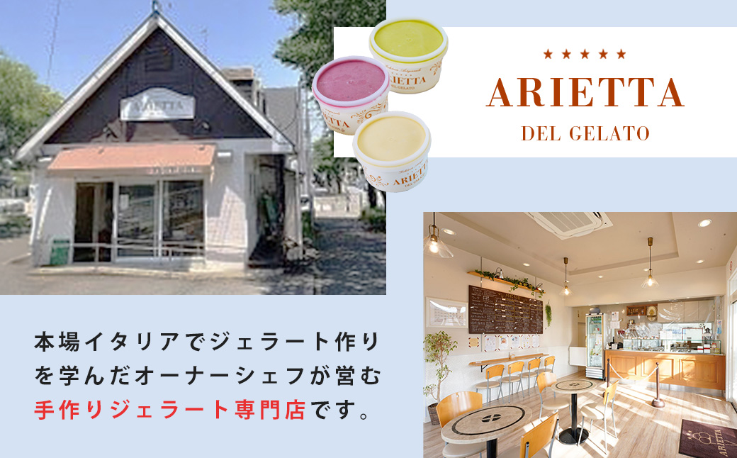 イタリア仕込みの味！「アリエッタ デル ジェラート」のジェラート詰合せ 1個あたり95ml（12個入）| アリエッタ 詰合せ イタリア仕込み ギフトセット アイス 贅沢 冷凍スイーツ 個包装 プレゼン
