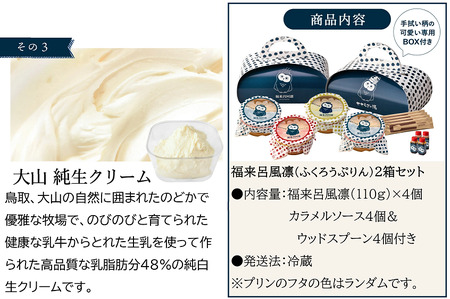 福来呂風凛（ふくろうぷりん）2個入り×2箱　007DA001N.／プリン 鳥取県 大山 白バラ牛乳 純生クリーム 市川町 タズミの卵 たまご  牛乳 クリーム スイーツ デザート 洋菓子 お菓子 お土
