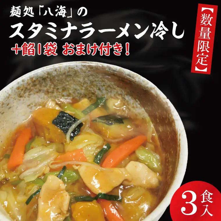 【日時指定必須】日曜朝のTVで紹介されました！麺処「八海」のスタミナラーメン冷し（３食入り）【数量限定】+餡１袋 おまけ付き！（FF-6）