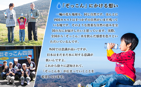 四国カルスト天然水ぞっこん 2L(6本入り)×2ケース 計12本 NZS0003