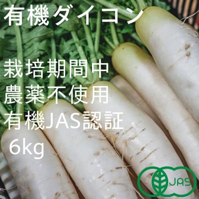 有機大根　有機JAS認証　煮物やおでんに最適　冬の味覚(12～3月発送)【配送不可地域：離島・北海道・沖縄県】