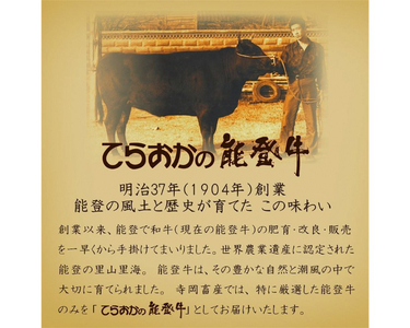 【朝だ！生です旅サラダ】で紹介されました ハンバーグ 特選能登牛(A4等級以上)100%ハンバーグ 120g 5個 計600g 冷凍