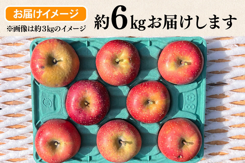 【26年10月下旬～発送】りんご 千雪 約6kg カワムラファーム【訳あり】青森 果物 フルーツ 林檎 リンゴ くだもの [アップル おいしい ちゆき 果実 果物 赤色 美味 林檎 弘前市]
