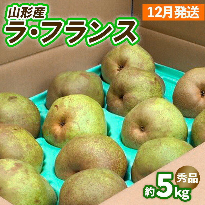 【ふるさと納税】山形のラ・フランス約5kg（10〜16玉 3L〜6L)[12月発送]【令和8年産先行予約】FS25-743