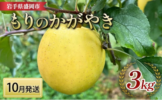 【先行予約】 10月中旬発送 もりのかがやき りんご 3kg 8～12玉  完熟 フルーツ 果物 旬 旬のフルーツ 季節のフルーツ 林檎 リンゴ 国産 産地直送 くだもの お取り寄せ 贈り物 贈答用 贈答 ギフト 贈り物 おすすめ 美味しい デザート 特産品 名産品 ご当地 岩手県 盛岡市 東北 岩手 盛岡 北田りんご園 kitada012