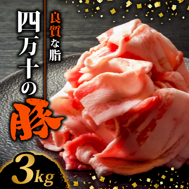 四万十ポークスライス3kg | 300g × 10パック セット 豚肉 豚バラ肉 小分け 小間切れ スライス 切り落とし 冷凍 真空パック 簡単調理 細切れ 大容量 肉 高知県 須崎市 | 豚肉豚肉豚肉豚肉豚肉豚肉豚肉豚肉豚肉豚肉豚肉豚肉豚肉豚肉豚肉豚肉豚肉豚肉豚肉豚肉豚肉豚肉豚肉豚肉豚肉豚肉豚肉豚肉豚肉豚肉豚肉豚肉豚肉豚肉豚肉豚肉豚肉豚肉豚肉豚肉豚肉豚肉豚肉豚肉豚肉豚肉豚肉豚肉豚肉豚肉豚肉豚肉豚肉豚肉豚肉豚肉豚肉