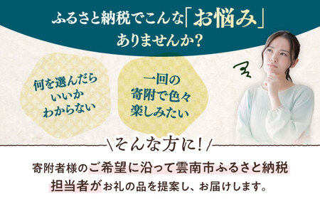 コンシェルジュ 【雲南市コンシェルジュ】返礼品おまかせ！寄附額30万円コース 300000円 [AIDM004]