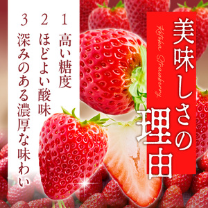 【2026年1月発送】高級いちご「古都華」3L～Mサイズ2パック　いちご 高級 古都華 3L～Mサイズ 280g×2パック 深みのある濃厚な味わい ほどよい酸味 高い糖度 華やかな香り 美味しく甘い 