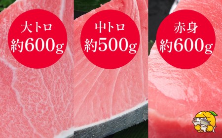 本まぐろづくし セット 大トロ500g 中トロ600g 赤身600g 鮪 海鮮丼 刺し身 刺身 盛り合わせ 冷凍 魚の刺身 大分県産 九州産 津久見市 国産【tsu0003016】