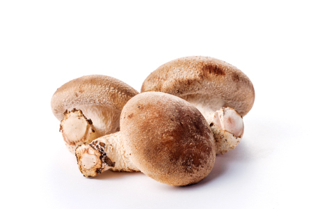 オーガニック菌床しいたけ200g×6袋【椎茸 オーガニック 菌床 野菜 きのこ キノコ】