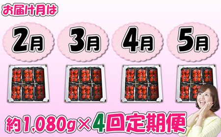 【4回届く！（2月～5月）】福津産『空飛ぶあまおう』約1,080g×4回定期便【スカイフローラファーム】[H7052]