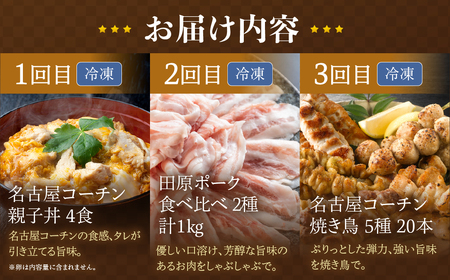 【定期便】ブランド豚・地鶏 定期便 全3回 田原ポーク 名古屋コーチン