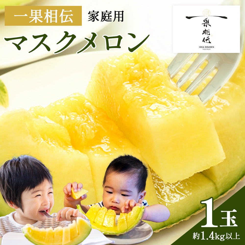 マスクメロン 家庭用 1玉入り 果物類 メロン青肉
