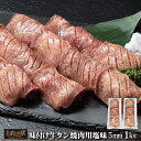 【ふるさと納税】味付け牛タン 塩味 焼肉用（5mm） 1kg (500g×2パック) 牛肉 肉 焼肉 BBQ 塩牛タン 冷凍 真空パック 味付け肉 お取り寄せ 岩手県 花巻市