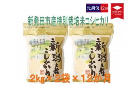 【定期便】令和5年産 特別栽培米コシヒカリ 2kg×2袋×12ヵ月 D30_01