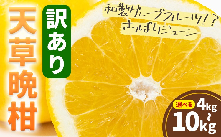 
            訳あり ご家庭用 柑橘 天草晩柑 選べる 約4kg 約10kg あまくさ晩柑 晩柑 ばんかん 天草 西海岸 苓北 都呂々 南国 潮風 国産 九州 熊本 果物 フルーツ 送料無料 都呂々みかん生産者グループ《2026年3月上旬-5月下旬頃出荷》
          