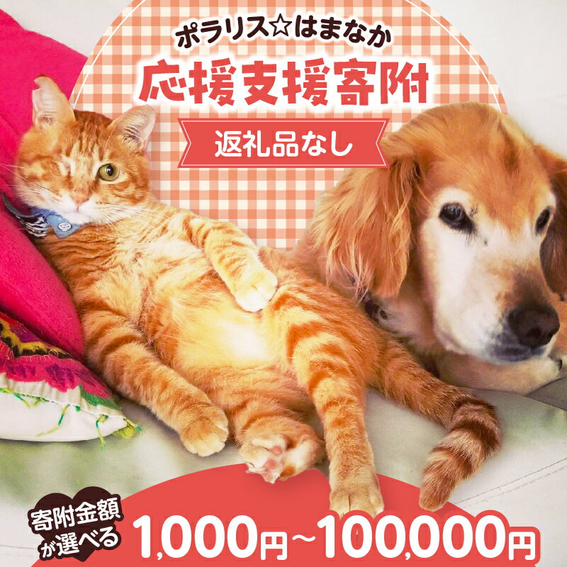 【ふるさと納税】【寄附額が選べる】【動物愛護ボランティア】1,000円～100,000円 浜中町 ポラリス☆はまなか 支援 返礼品なし 動物 ペット 援助 応援 保護 介護 里親 犬 猫 小動物 避妊 去勢 安全 環境づくり 飼育相談 アドバイス 命を守る 北海道