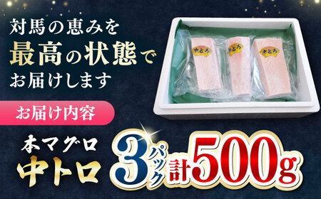 【1週間以内発送】対馬産 本マグロ 中トロ 500g [WAH018] 中とろ まぐろ スピード発送 最速発送 最短発送
