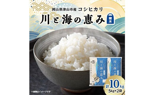 
            ＜岡山県津山市産＞川と海の恵み 10kg コシヒカリ TY0-0636
          