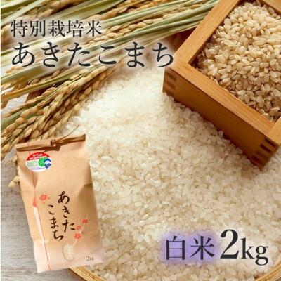 ふるさと納税 能代市 令和7年産 白米 精米 あきたこまち 2kg  特別栽培米[No.5335-0358]