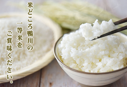 《令和７年産 新米》【米屋新蔵】お米ソムリエ特選 千葉県産『ふさこがね』10kg　[0026-0008]