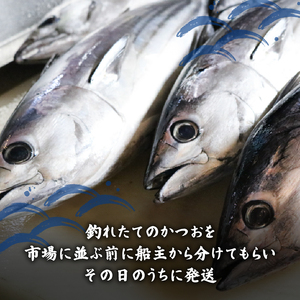 訳あり】 【冷蔵】 かつお刺身と藁焼きタタキ 500g 鰹 かつお