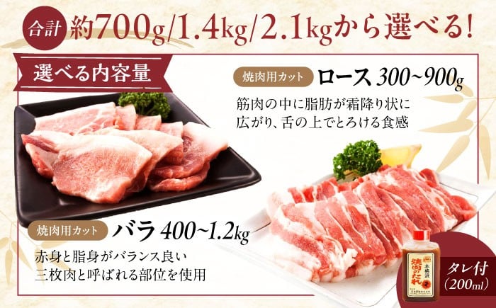 肉 豚肉 ロース バラ 焼肉 BBQ セット 食べ比べ 贈答 ギフト プレゼント