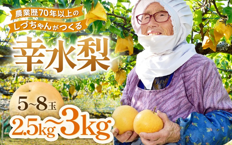 
                  【先行予約】しづちゃんが作る幸水梨 5～8玉入（2.5～3kg）農業歴70年以上！※2026年8月中旬以降順次発送予定 [aw075-a006]
                