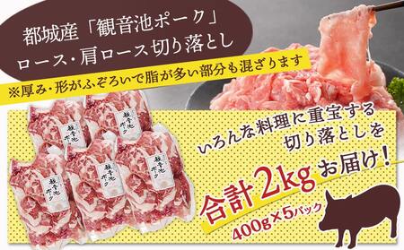 【訳あり】観音池ポーク ロース・肩ロースの切り落とし2kg_AA-1548_(都城市) ロース 肩ロース 切り落とし 観音池ポーク ふぞろい 訳あり品 肉野菜炒め 焼きそば 回鍋肉 豚丼 豚キムチ 煮
