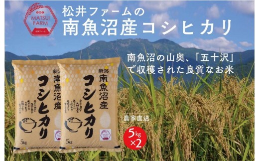 
                  令和7年産　南魚沼産コシヒカリ（10kg)【銘柄米 ブランド米 精米 こしひかり コシヒカリ 魚沼産 新潟米 産地直送 お米 米 こめ コメ ご飯 御飯 ごはん】
                