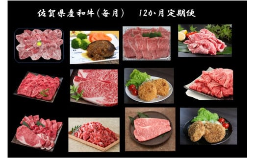 DV224_佐賀牛・佐賀県産和牛（毎月）12か月定期便