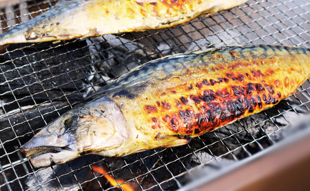 厳選！サバ文化干し １４枚 ！ サバ さば 鯖 さば文化 サバ文化 さば文化干し サバ文化干し 文化干し 塩サバ 塩鯖 塩 海鮮 銚子 冷凍 千葉県 銚子市 さば サバ 鯖 さば サバ 鯖 さば サバ