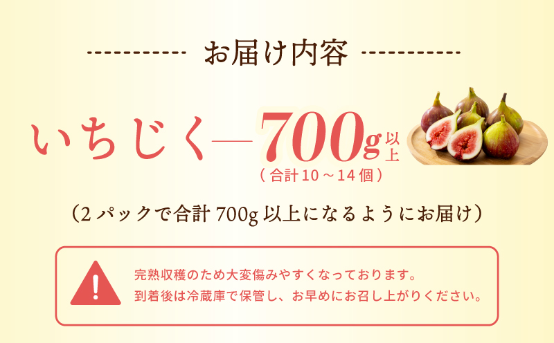 【先行予約】【農家直送】朝採り 完熟いちじく 700g以上【大阪 泉佐野 大阪府 泉佐野市】