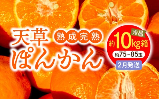 
                  S117-011_香りを食す！熟成完熟天草ぽんかん 2月発送 約10kg箱 秀品〈先行受付〉
                