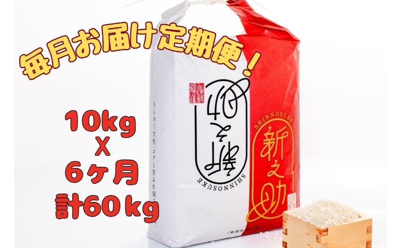 【通年受付】魚沼産新之助　精米10kg（5kgx2袋）全6回 十日町市 十日町 米