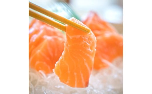 名水で育まれた 『甲斐サーモン』お刺身サーモン冷凍便 500g (7～8人前)【1225949】