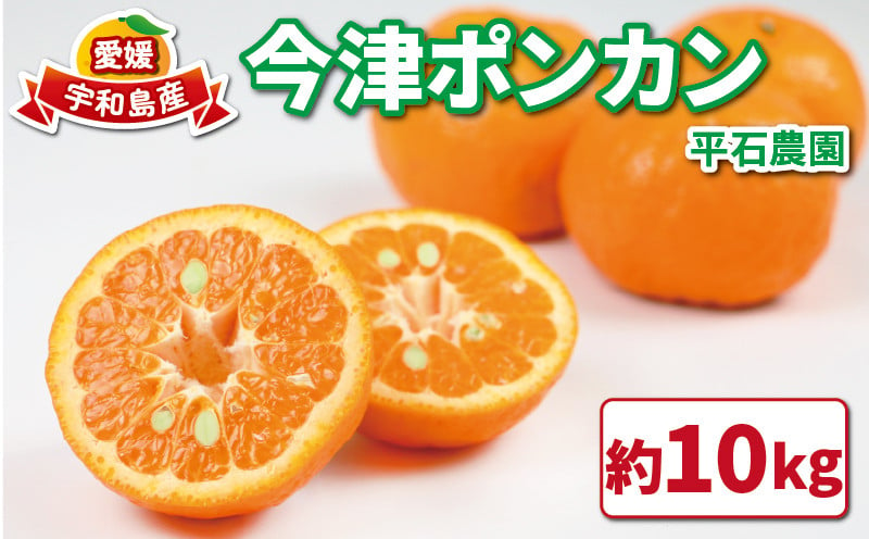 
ポンカン 10kg 家庭用 サイズ 不揃い 平石農園 愛媛みかん みかん mikan 愛媛ミカン 愛媛蜜柑 ぽんかん 果物 くだもの フルーツ 柑橘 甘い ジューシー 果肉 みかん 蜜柑 数量限定 産地直送 農家直送 国産 愛媛 愛媛県産 宇和島 B011-017003
