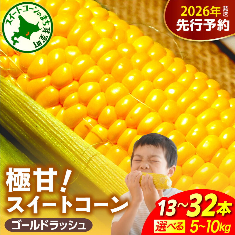 【ふるさと納税】【先行予約】 とうもろこし ファームミリオン の 極甘 スイートコーン ( 選べる内容量 : 5kg 13～16本 / 10Kg 26～32本 ) 【2026年8月上旬〜8月中旬頃発送】| ゴールドラッシュ とうきび コーン お取り寄せ 産地直送 送料無料 国産 北海道 十勝 芽室町