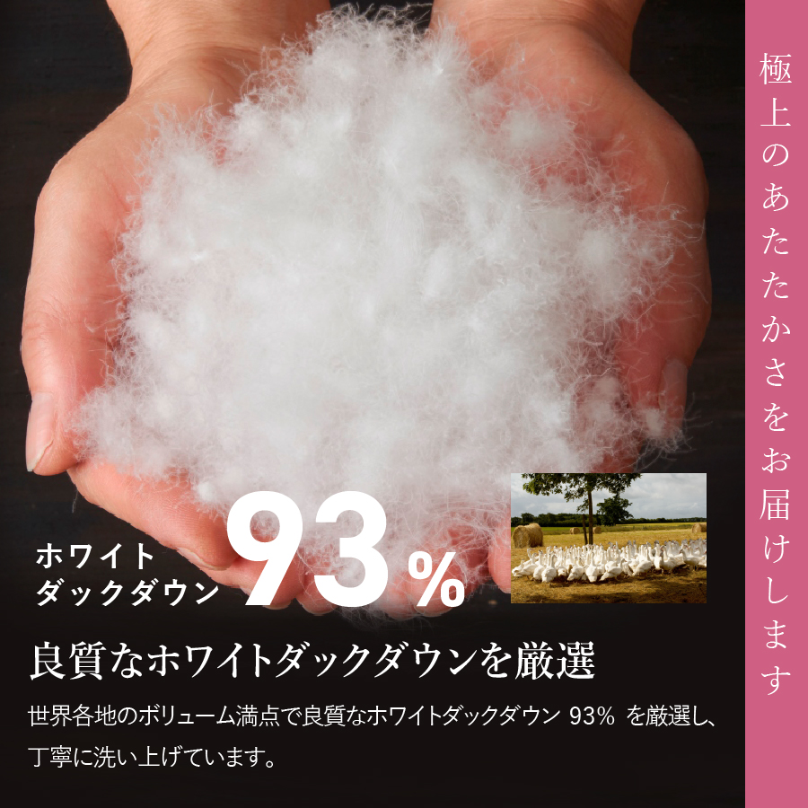 【訳あり】甲州羽毛ふとん　本掛けふとんロイヤルダウン93%（シングル/お任せ柄） 寒色