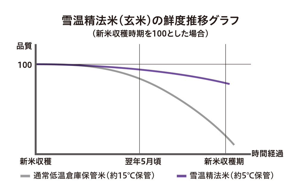 【令和7年産】雪温精法　新潟県産米3種　食べ比べセット