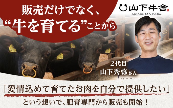 佐賀牛 焼肉 セット 1kg【山下牛舎】 [HAD148] 佐賀牛 牛肉 肉 精肉 赤身 ロース バラ 焼肉用 不揃い カット