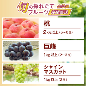 【定期便】旬の採れたて3回定期便（桃・巨峰・シャインマスカット）【2025年発送】（HO）C9-410 【桃 もも モモ 巨峰 シャインマスカット 葡萄 ぶどう ブドウ 令和7年発送 期間限定 山梨県