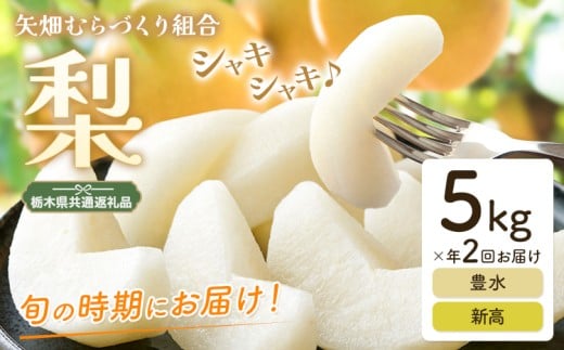 梨 定期便 5kg 計2回 矢畑むらづくり組合《9月中旬-10月中旬頃出荷》栃木県 野木町 お楽しみ フルーツ 食べ比べ 豊水梨 新高梨 栃木産 果物【栃木県共通返礼品　栃木県産】【配送不可地域あり】(離島)