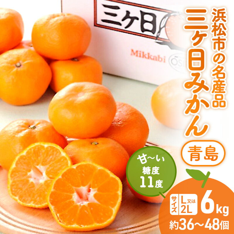 【ふるさと納税】果物 三ヶ日みかん 6kg L～2L 青島 青島みかん 蜜柑 ミカン くだもの 旬のフルーツ 季節のフルーツ 柑橘類 静岡県浜松市産　お届け：2027年1月6日～2月20日まで