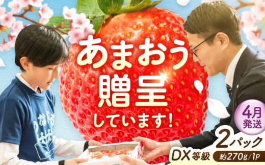 【4月発送】あまおうDX等級 1ケース（約270g×2パック） 広川町 / JAふくおか八女農産物直売所どろや [AFAB108]
