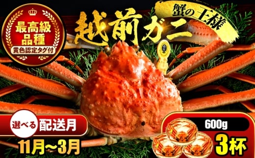【先行予約】 【2月配送】 越前がに 600ｇ×3杯 小浜市 / まるほ商店 【配送不可地域：北海道・沖縄・離島】[BFCS020-2]