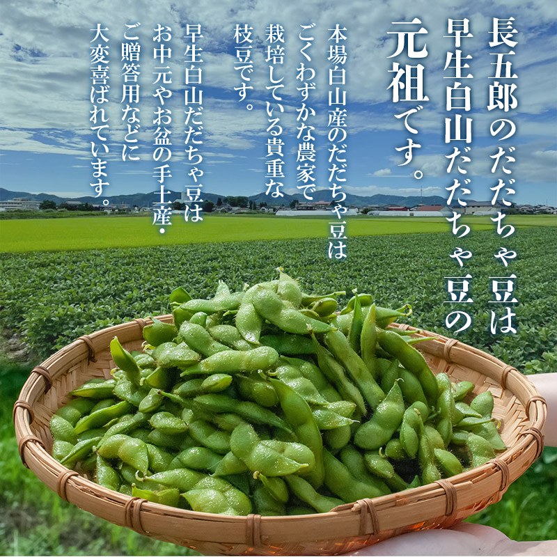 【令和8年産先行予約】 白山だだちゃ豆　1kg（500g × 2袋）　鶴岡市白山産　長五郎 | 本場 白山 だだちゃ豆 えだまめ 枝豆 茶豆 おつまみ 人気 おすすめ 朝採り 新鮮 旬の味覚 特産品 