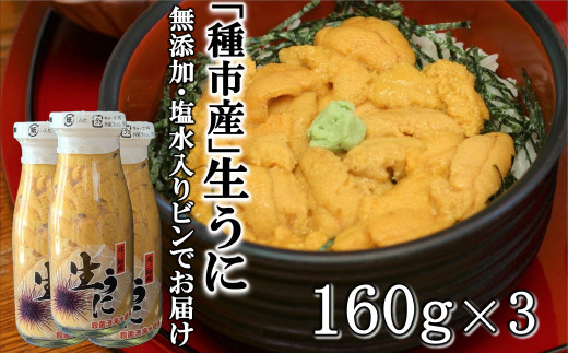【令和８年発送】先行予約「種市産」天然生うに 160ｇ×3本 ミョウバン不使用 無添加 本州一 増殖溝 北三陸 塩水 牛乳瓶入り 雲丹 鮮度抜群
