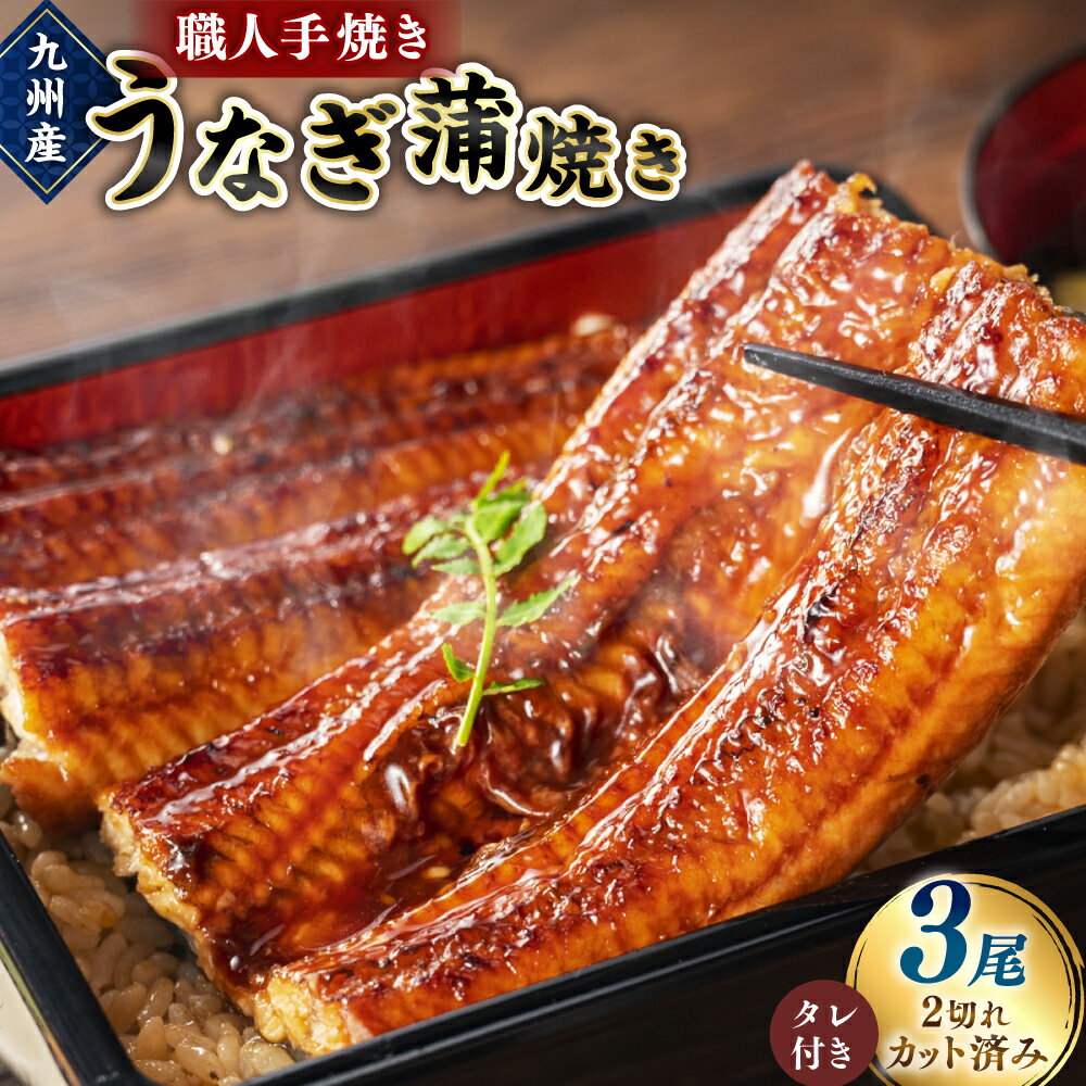 【ふるさと納税】＜職人手焼き九州産 うなぎ 蒲焼き 3尾（6切れ）計390g前後＞ ※入金確認後、翌月末迄に順次出荷します。ウナギ 鰻 宮崎県 高鍋町【冷凍】
