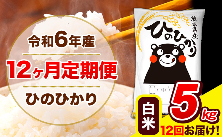 令和6年産 新米 ひのひかり 【12ヶ月定期便】 白米  5kg (5kg×1袋) 計12回お届け 《お申し込み月の翌月から出荷開始》 熊本県産 白米 精米 ひの 米 こめ お米 熊本県 長洲町